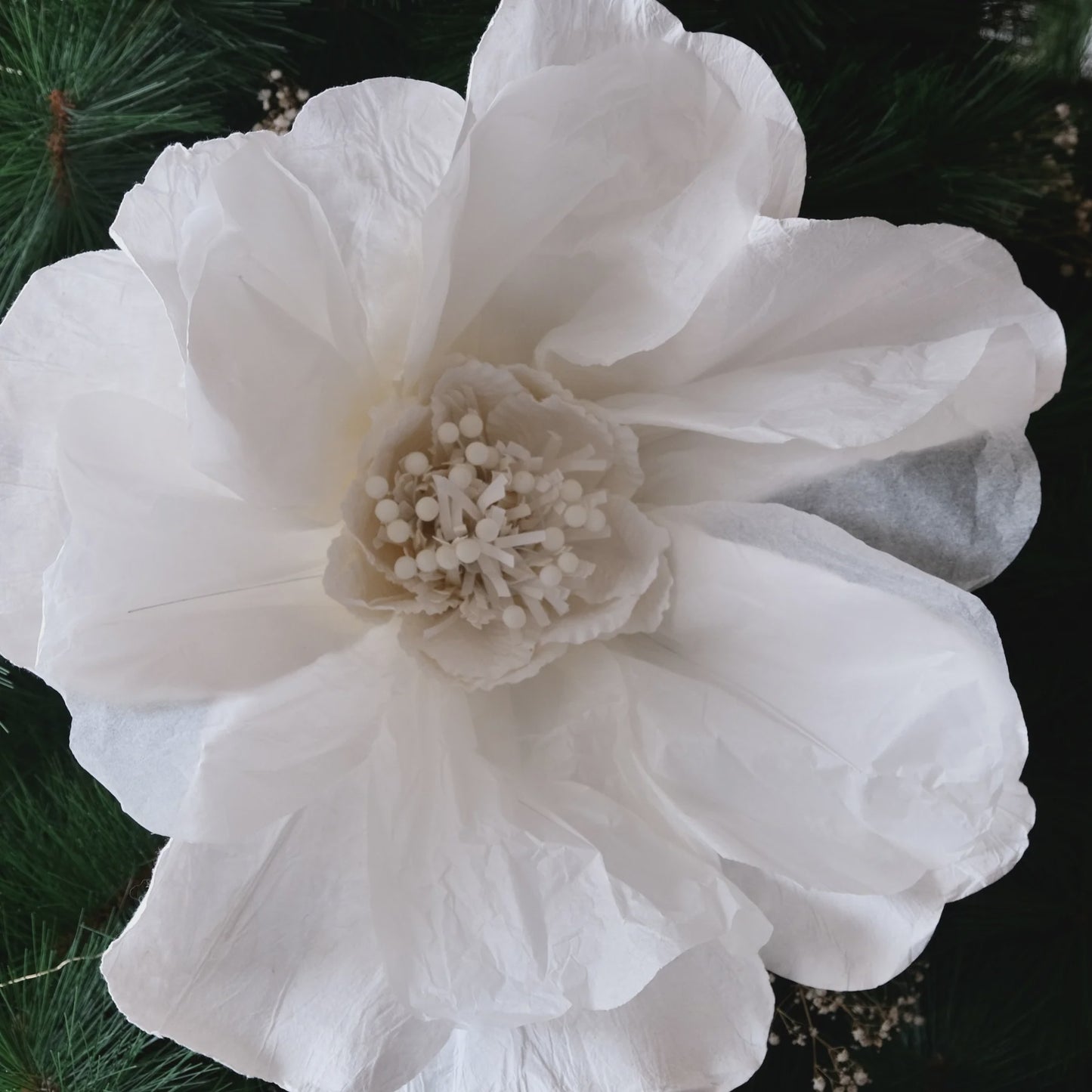 Moonlight Paper Flower