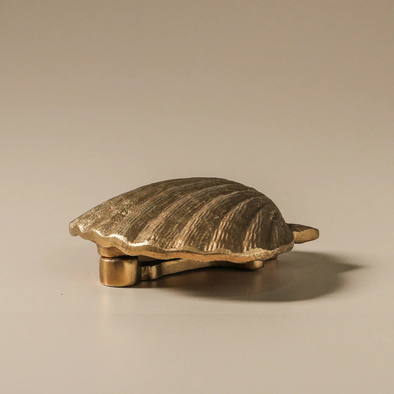 Beachcomber Door Knocker