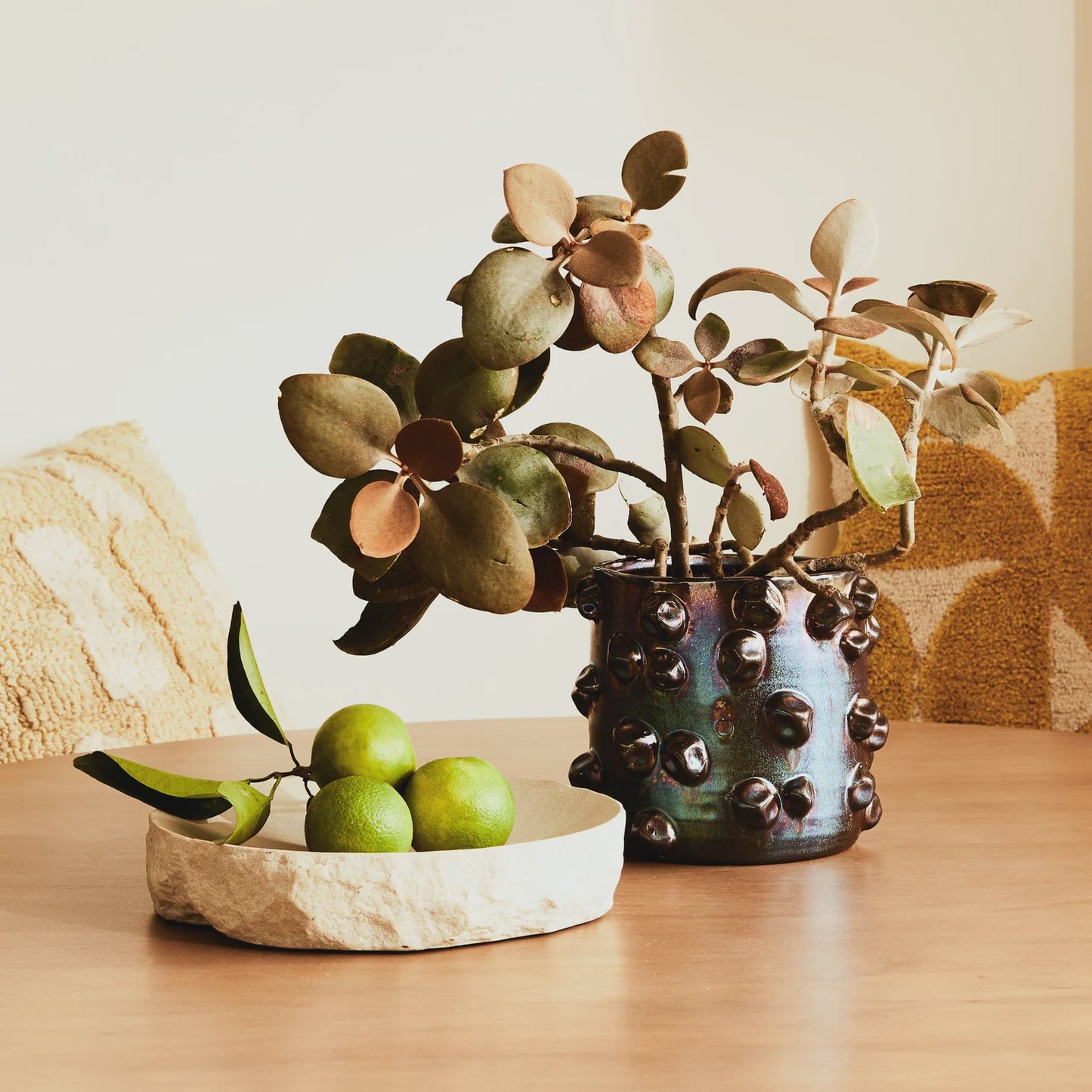 Chloe Pot