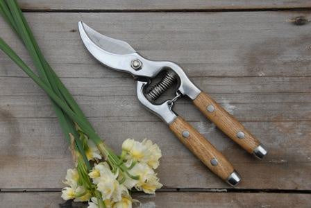 Secateurs