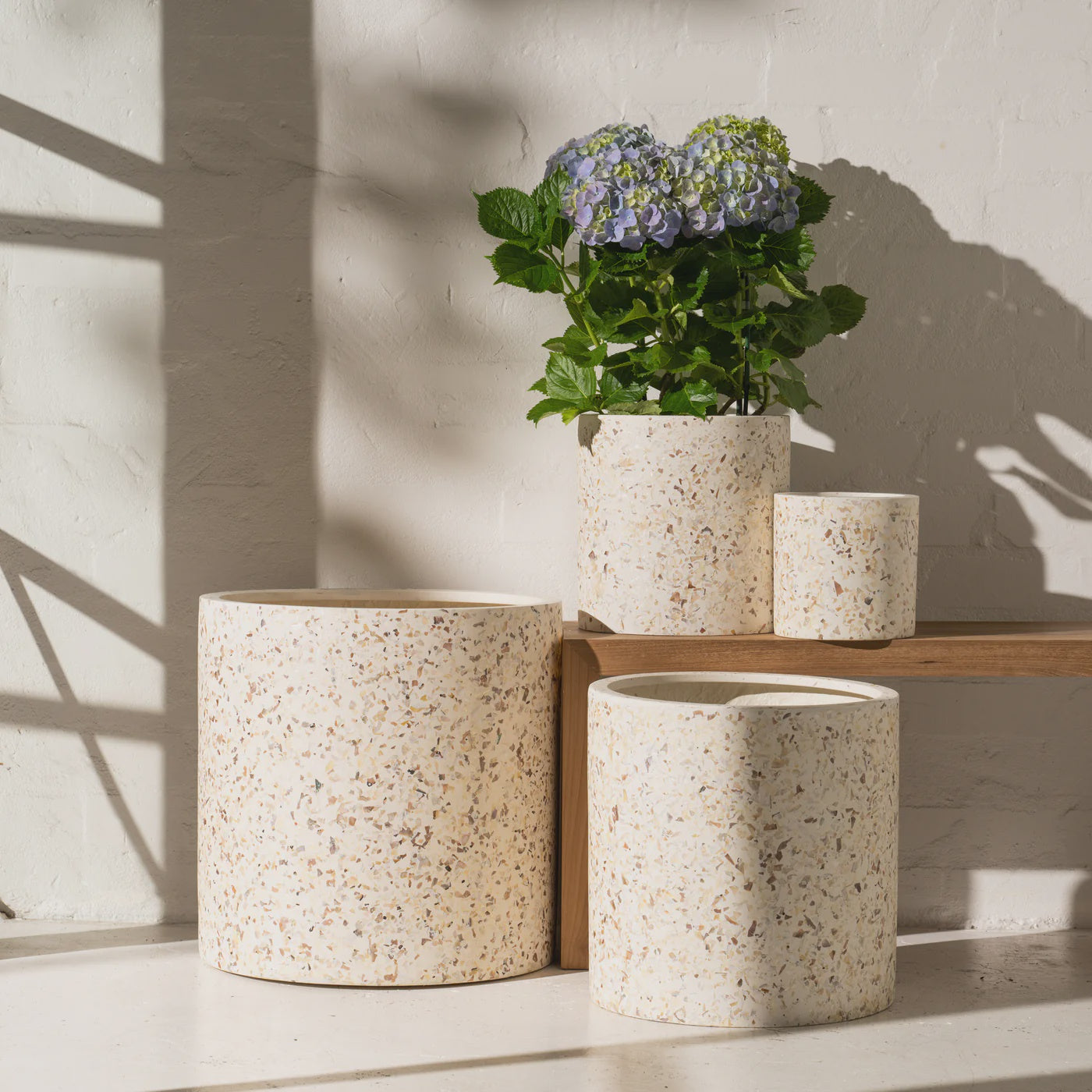 Arjen Shell Pot