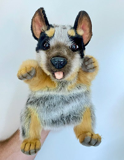 http://edde.com.au/cdn/shop/products/blue-heeler-puppet-gallery-3.jpg?v=1688514822