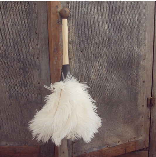 Feather Duster