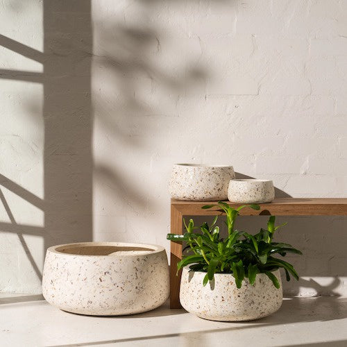 Koen Shell Pot