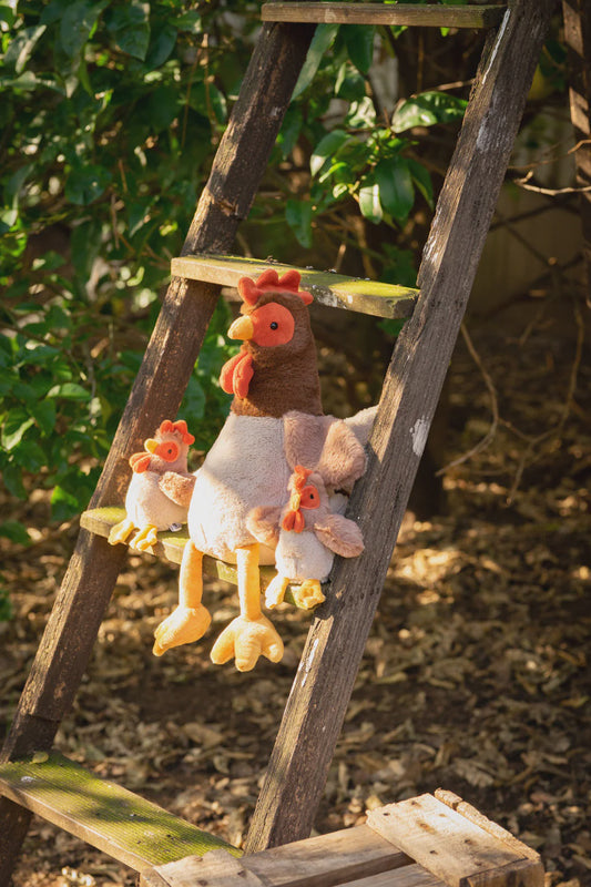 Randy the Rooster and Henrietta the Hen