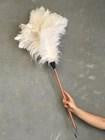 Feather Duster 500mm