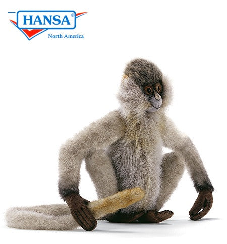Hansa Spider Monkey